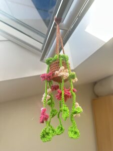 Plante suspendue