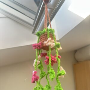 Plante suspendue